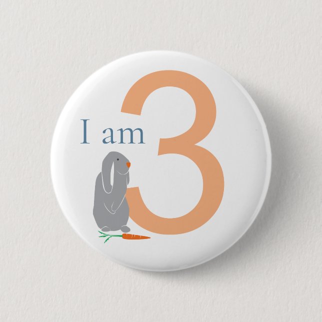 3rd Birthday Modern Minimal Grey Bunny 6 Cm Round Badge (Front)