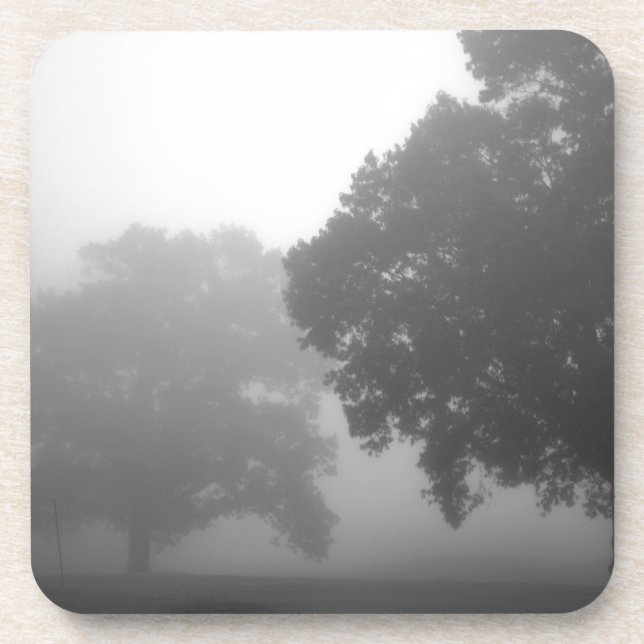 3trees coaster (Front)