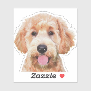 3x3 Custom-Cut Vinyl Sticker of golden doodle