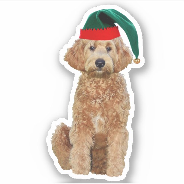 3x3 Custom Vinyl Sticker - Christmas golden doodle (Front)