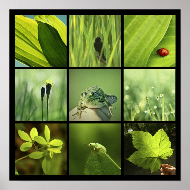 3x3 green nature photos Print (Front)