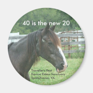 40 is the new 20 magnet