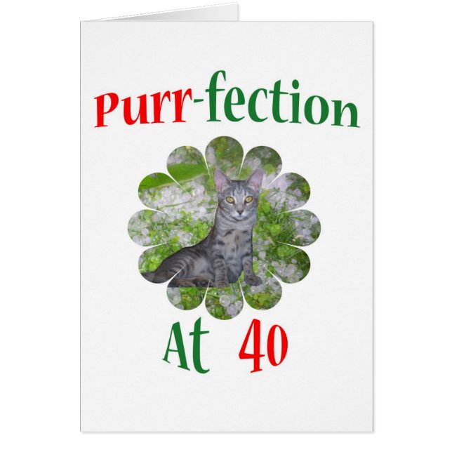 40 Purr-fection (Front)