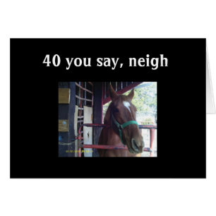 "40" YOU SAY - NEIGH!