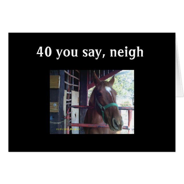 "40" YOU SAY - NEIGH! (Front Horizontal)