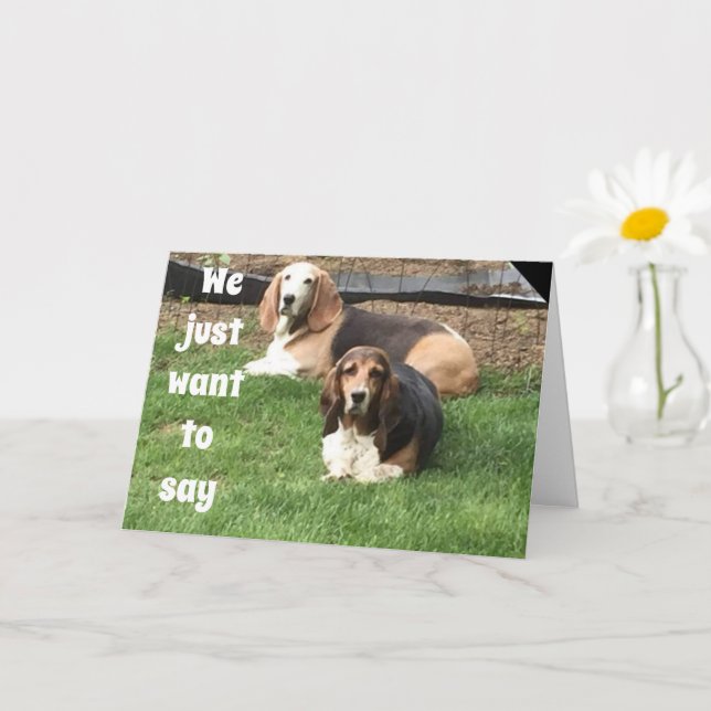 **40th BIRTHDAY** FROM COMPLIMENTARY DOGS Card (Small Plant)