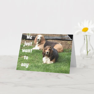 **40th BIRTHDAY** FROM COMPLIMENTARY DOGS Card
