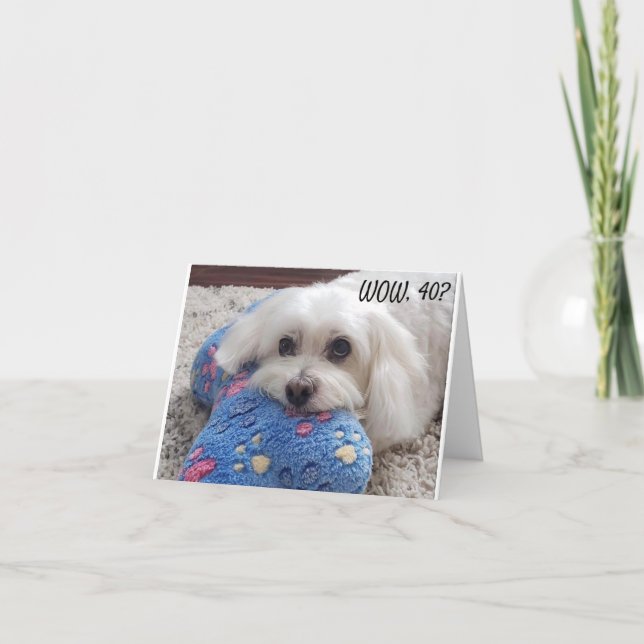 *40th BIRTHDAY* HA HA HA (FUNNY DOG HUMOR) Card (Front)