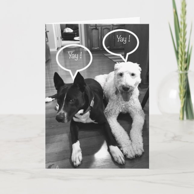 **40th** BIRTHDAY HUMOR FROM A COUPLE OF PUPS Card (Front)