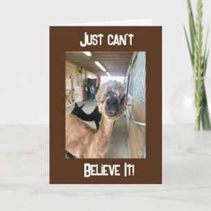 "40th BIRTHDAY??? JUST CAN'T BELIEVE IT Card