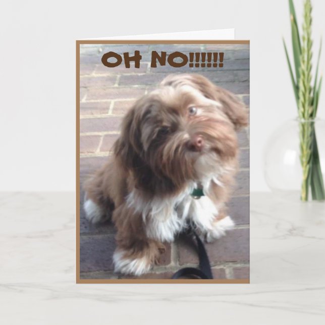 **40th BIRTHDAY** OH NO SAYS PUPPY Card (Front)