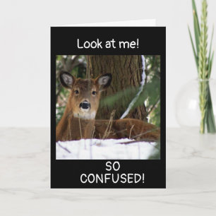 "40th BIRTHDAY WISHES" FROM A DEER Card