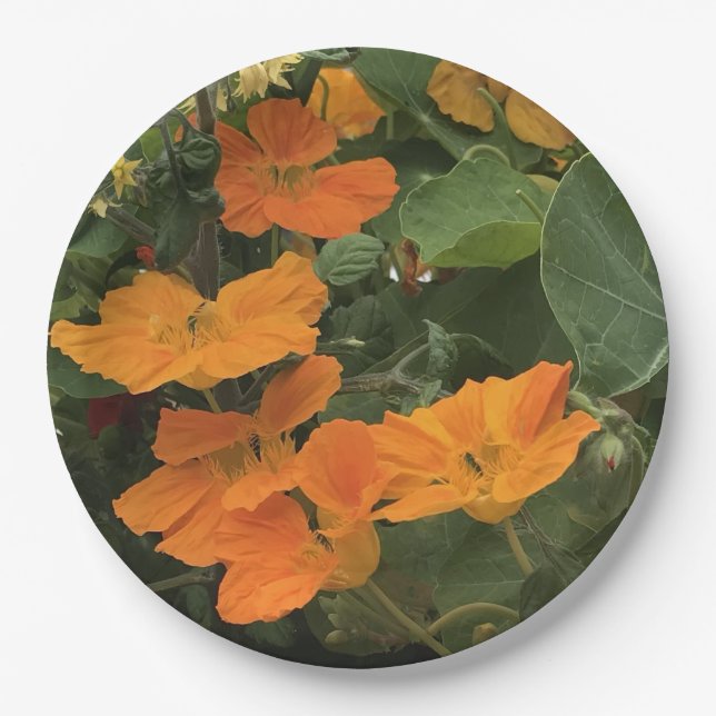 40th Wedding Anniversary Nasturtium alternative Paper Plate (Front)