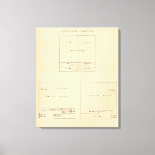 41 Elements of population 1900 Canvas Print