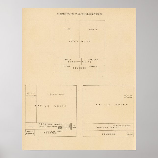 41 Elements of population 1900 Poster (Front)