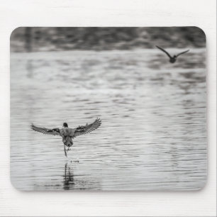 4297-Cormorant Taking Off from Pond Mouse Mat