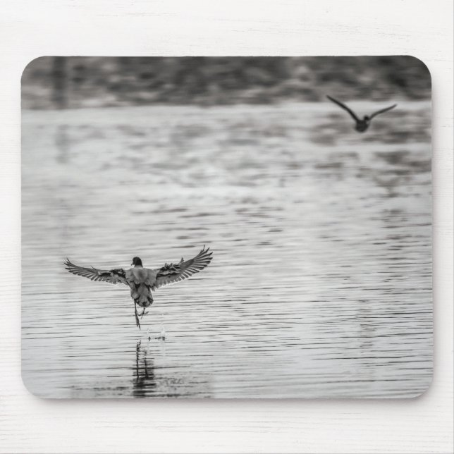 4297-Cormorant Taking Off from Pond Mouse Mat (Front)
