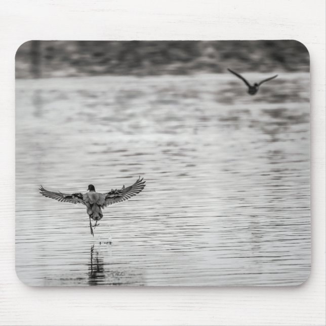 4297-Cormorant Taking Off from Pond Mouse Mat (Front)