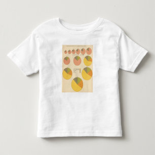 42 Population, elements 1790-1900 Toddler T-Shirt