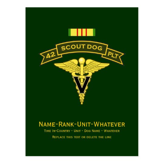 42d IPSD - Vet Svcs Postcard
