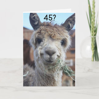 **45** I JUST CAN'T BELIEVE IT SAYS LLAMA CARD