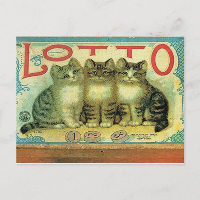 45 Pets Postcard (Front)