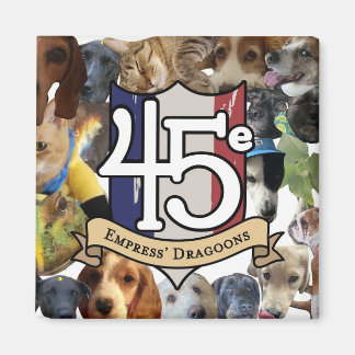 45e pets on your fridge magnet