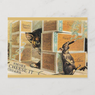 46 Pets Postcard