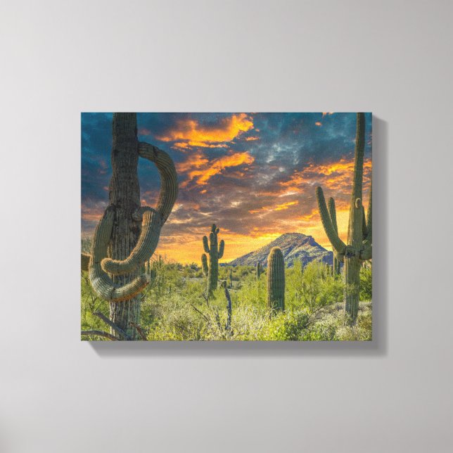 4792-2-Desert Landscape at Sunset Canvas Print (Front)