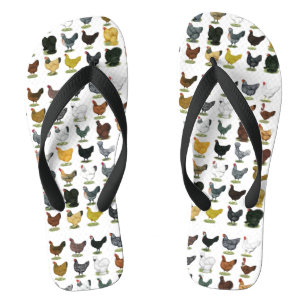 49 Chicken Hens Flip Flops