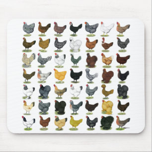 49 Chicken Hens Mouse Mat