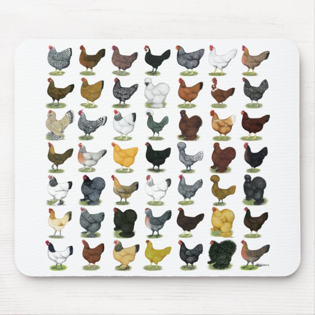 49 Chicken Hens Mouse Mat (Front)