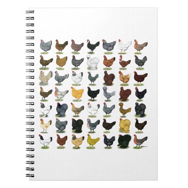 49 Chicken Hens Notebook (Front)