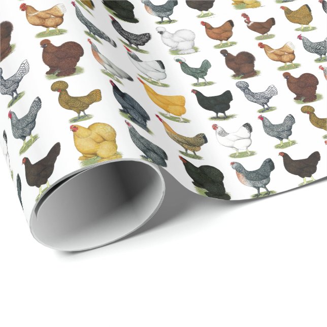 49 Chicken Hens Wrapping Paper (Roll Corner)