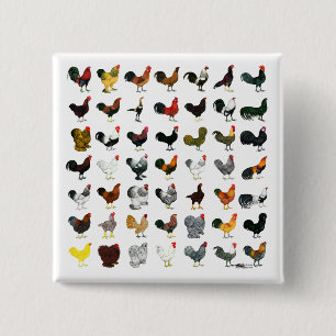 49 Roosters 15 Cm Square Badge