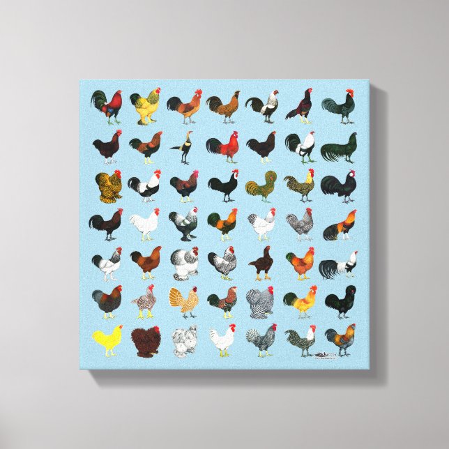 49 Roosters Canvas Print (Front)