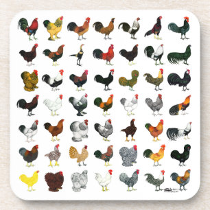 49 Roosters Coaster