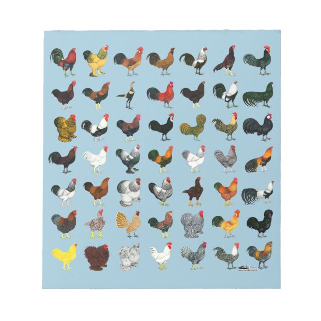 49 Roosters Notepad (Front)