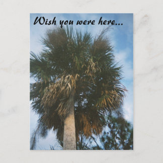 4-11-2007-03, Wish you were here... Postcard