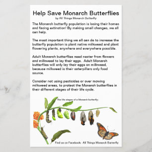 4.5" x 5.6" Flyer Paper