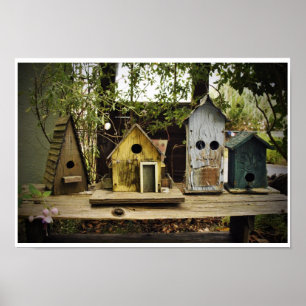 4 Bird Houses Poster