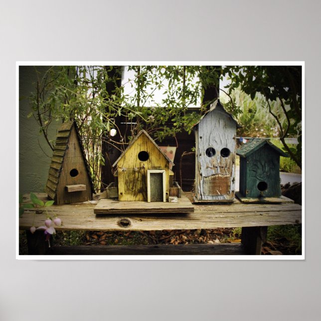 4 Bird Houses Poster (Front)