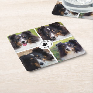 4 Custom Pet Photos Collage Template & Text Square Paper Coaster