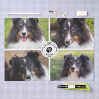 4 Custom Pet Photos Collage Template & Text Tissue Paper