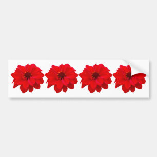 4 Dahlias - Bishop of Llandaff Bumper Sticker
