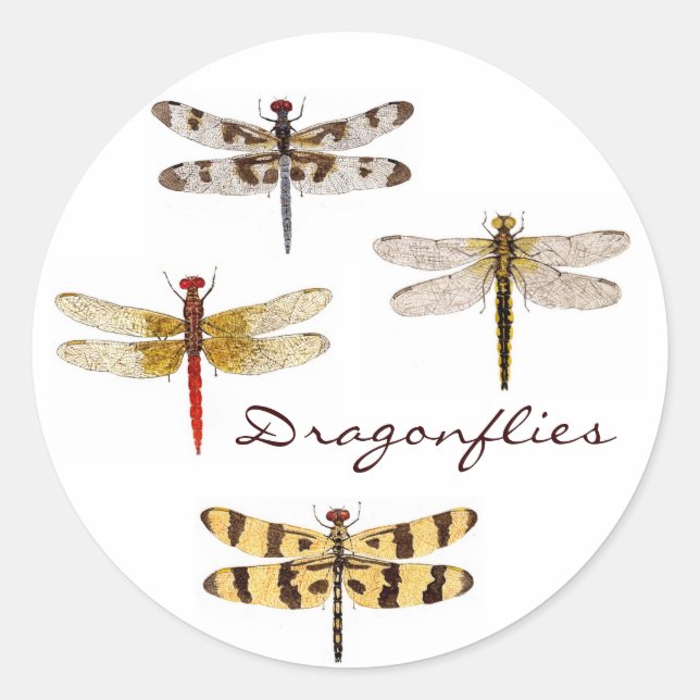 4 Dragonflies Classic Round Sticker (Front)