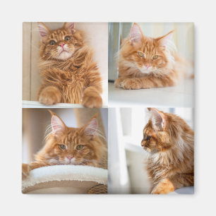 4 Four Photo Collage Full Magnet