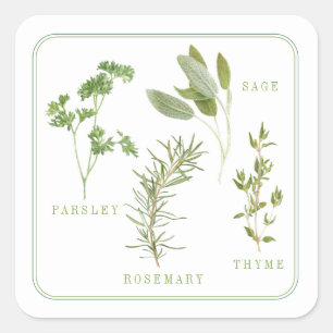 4 FRESH HERBS Small Square Stickers