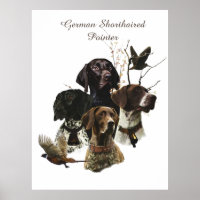 4 German Shorthaired Pointer Colours