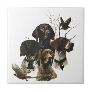 4 German Shorthaired Pointer Colours Tile